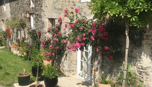 Deluxe Double Room with Shower