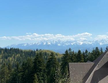 Triple Room with Mountain View