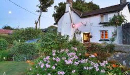 Double or Twin Room with Extra Bed