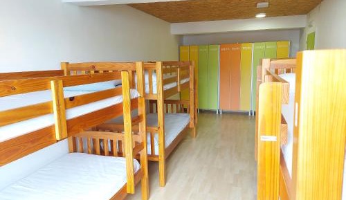 Bunk Bed in Mixed Dormitory Room
