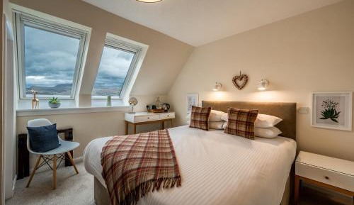 Deluxe King Guest Room