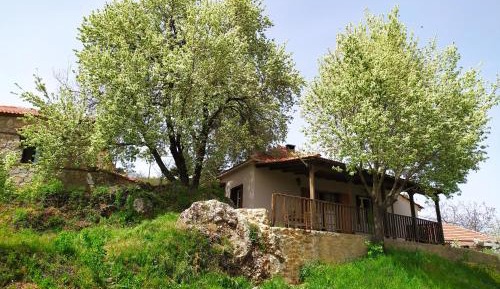 Apartment with Mountain View