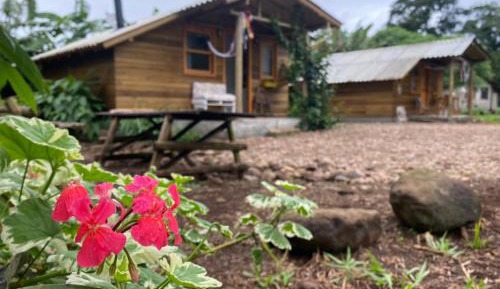 Basic Triple Room with Shared Bathroom
