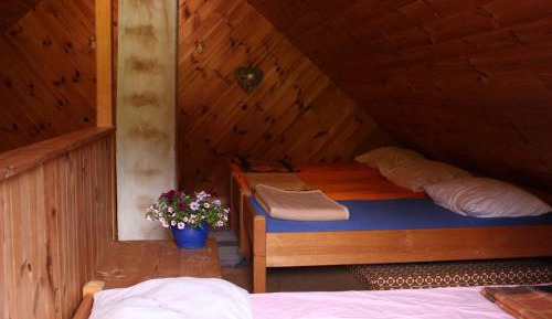 Single Bed in Mixed Dormitory Room