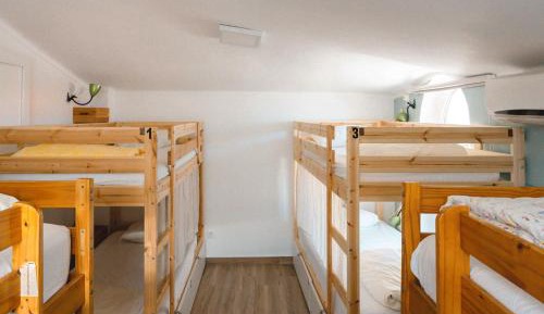Bunk Bed in Mixed Dormitory Room