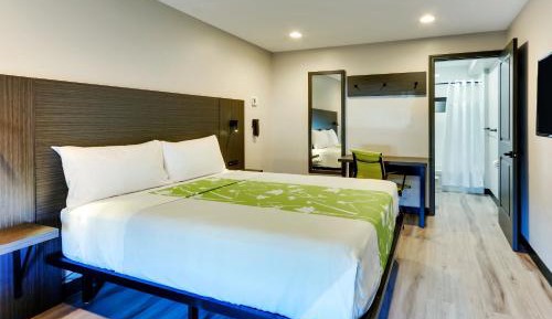 Standard Queen Room