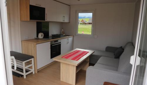 Mobile Home