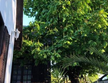 Apartment with Lake View