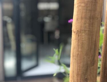 Two-Bedroom Apartment with garden