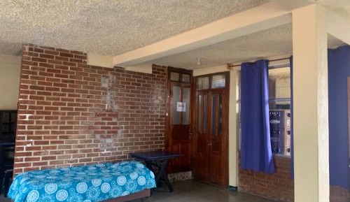 Single Bed in Mixed Dormitory Room