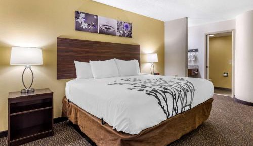 King Room - Non-Smoking