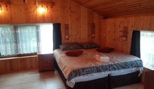 Apartment with Lake View