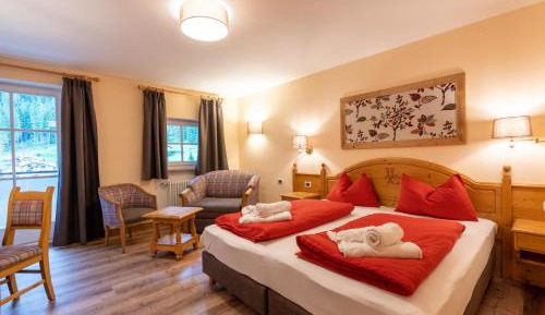 Deluxe Double or Twin Room with Mountain View