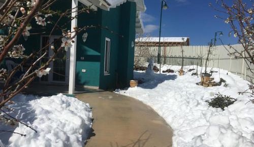 Suite with Garden View