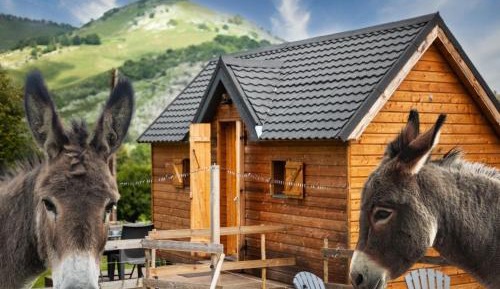One-Bedroom Chalet