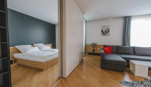 Superior Apartment