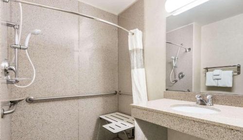King Room with Roll-in Shower - Mobility Access/Non-Smoking