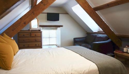 Superior Quadruple Room