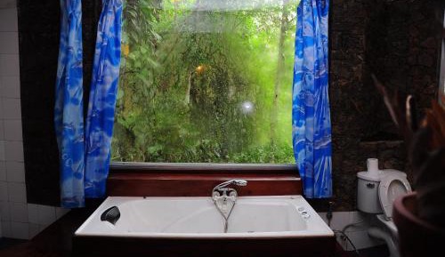 Honeymoon Suite