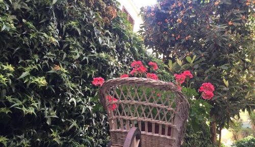 Large Double Room with Terrace