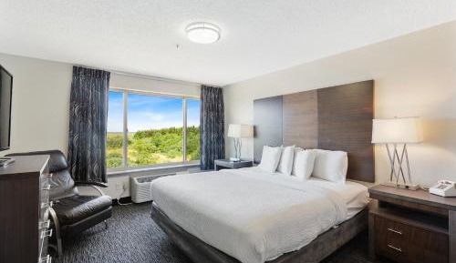 Suite with Sea View