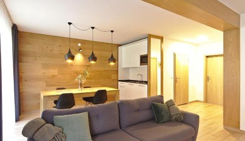 One-Bedroom Comfort Apartment with Fireplace and air conditioning