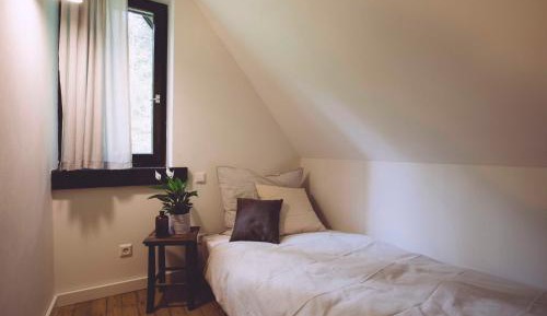 Single Room with Shared Shower and Toilet