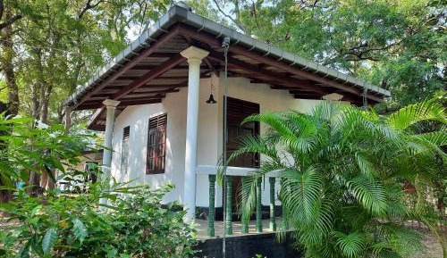Family Room with Garden View