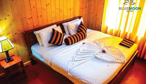 Deluxe Double Room (2 Adults + 1 Child) : Get 10% off on selected Excursions!