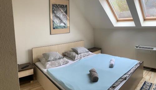 Double Room with Mountain View