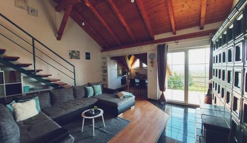 Superior One-Bedroom Apartment with Terrase