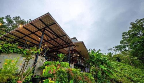 Mixed Dormitory Room