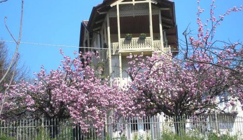 One-Bedroom Apartment with Garden View