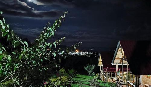 Family Room with Garden View