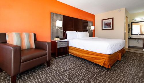 Standard King Room - Non-Smoking 