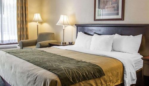 Standard Room, 1 King Bed with Sofa Bed, Non Smoking