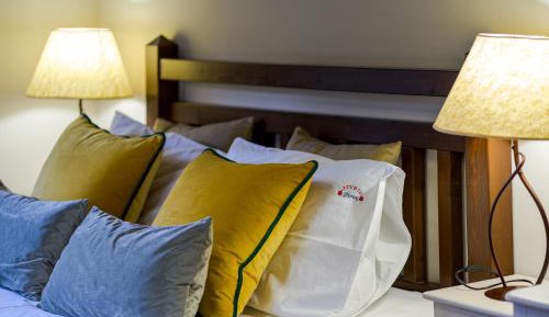 Deluxe Double or Twin Room with Mountain View