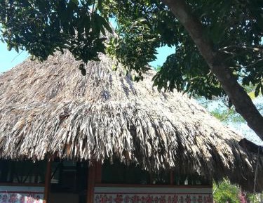 Deluxe Bungalow with Garden View