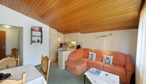 Economy One-Bedroom Apartment (501/503)