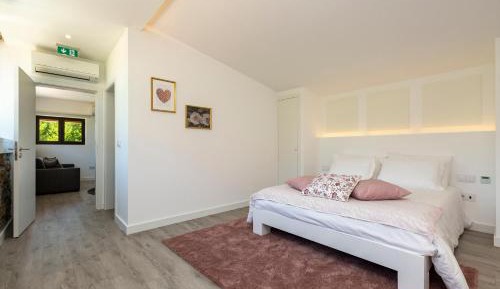 Junior Suite with Terrace