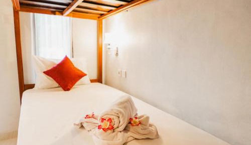 Bed in 5-Bed Dormitory Room