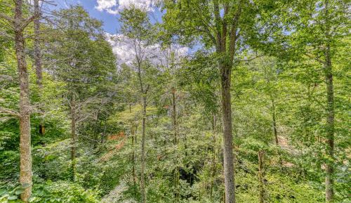 Three Bedroom Apartment