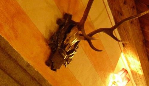 Luxury Two-Bedroom Apartment