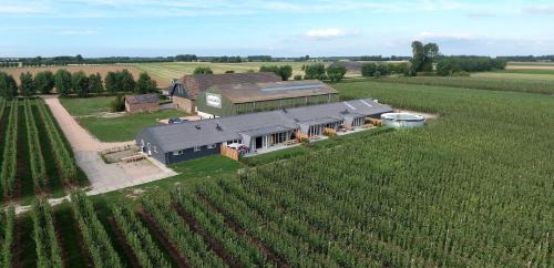 Five-Bedroom House