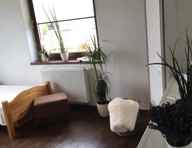 Superior Double or Twin Room with Mountain View