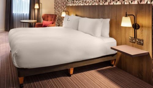 Accessible Room with King Bed