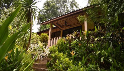 Family Room (4 Adults)