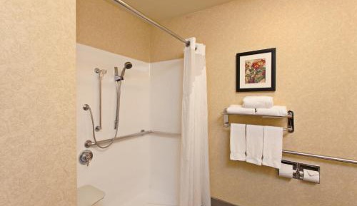 Standard King Room with Roll-in Shower - Mobility Accessible