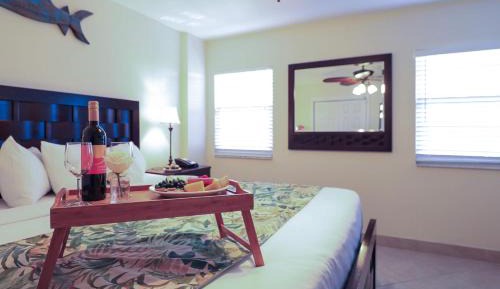 Standard One-Bedroom Suite with Partial Ocean View