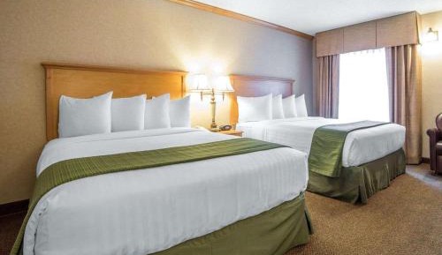 Standard Queen Room with Two Queen Beds - Non-Smoking - Dogs Only